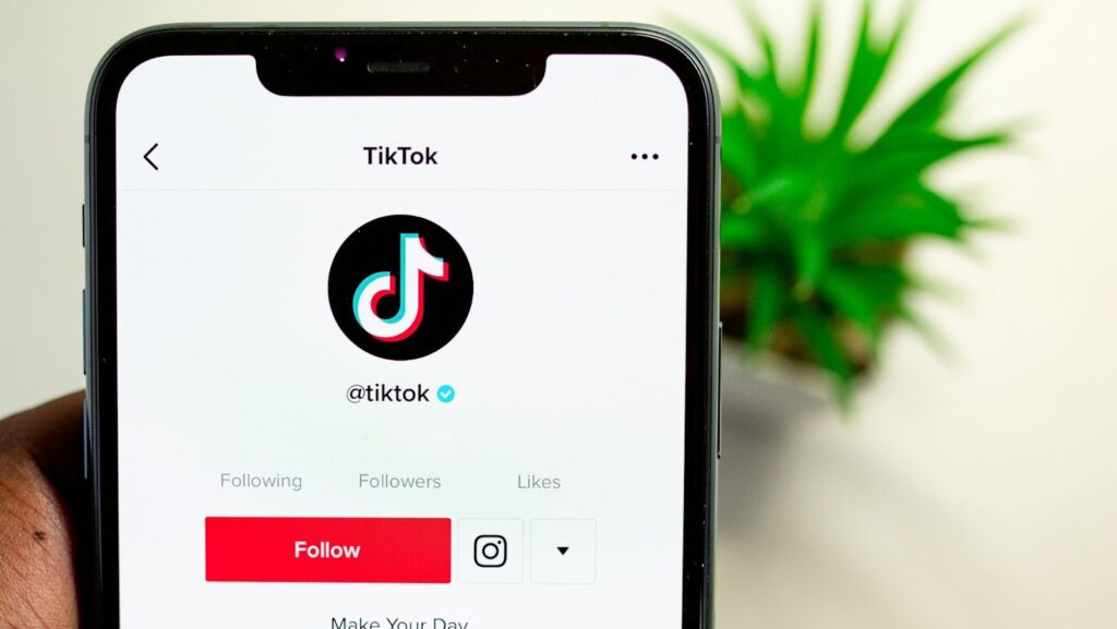 tiktok france germany ukstokelwalker wired